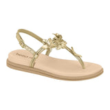 8513.102.14710-23146