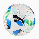 BALON DE FUTBOL PUMA 084612-01