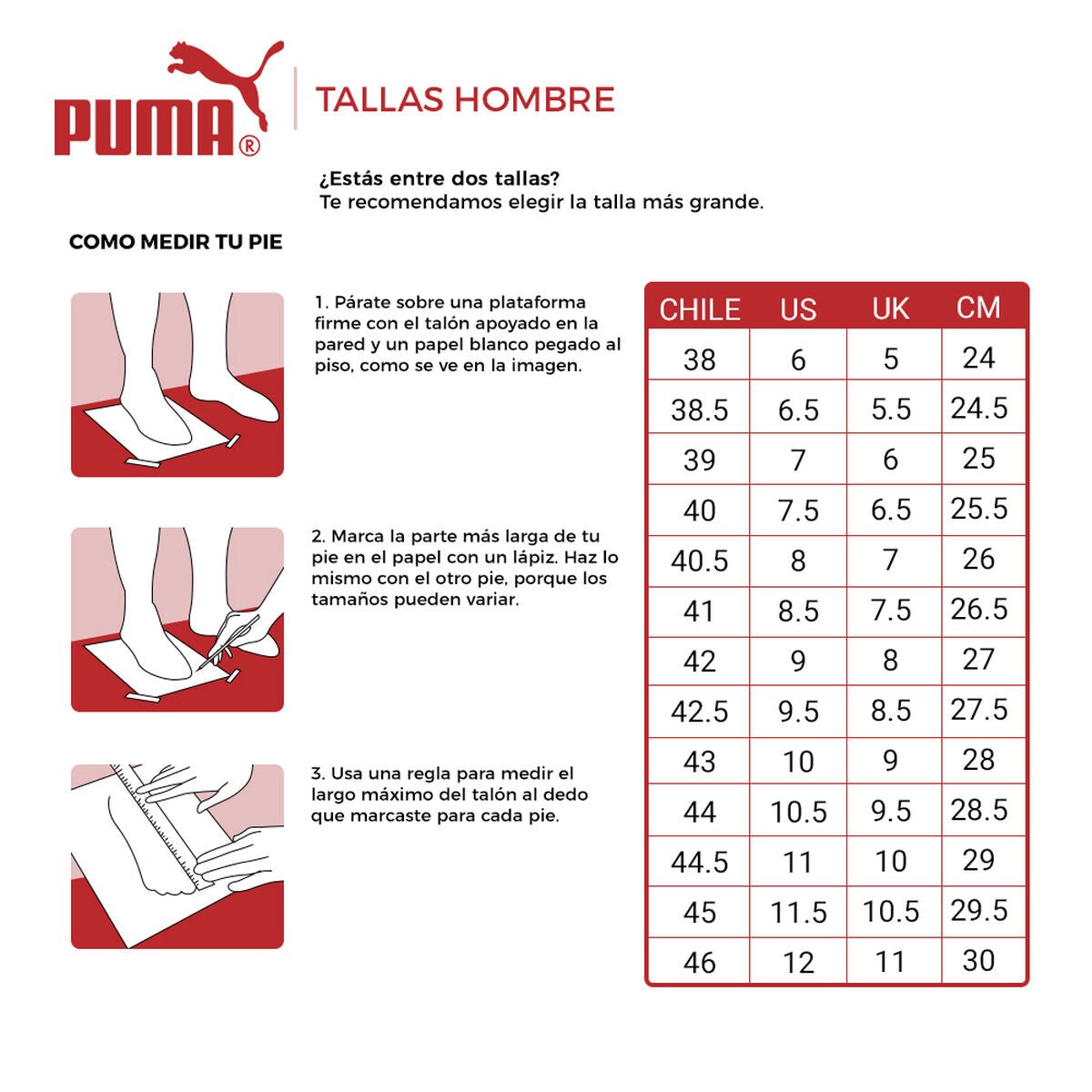 ZAPATILLAS URBANAS PUMA ANZARUN LITE HOMBRE | 371128 01 PUMA 6,5 - CalzadosPaola